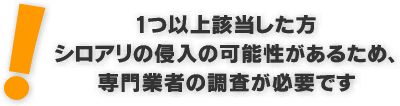 １つ以上該当下方はシロアリの侵入の可能性があります